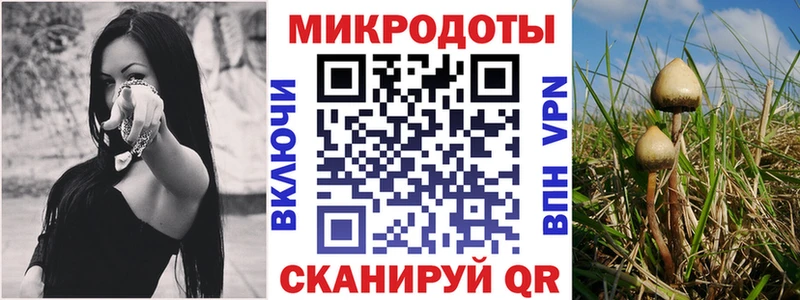 Галлюциногенные грибы мухоморы  Купить где  Семёнов 